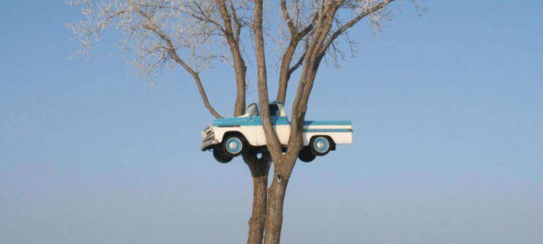 Truck-in-tree