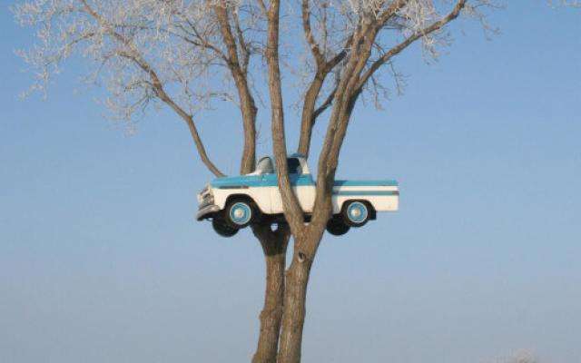 Truck-in-tree